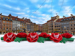 Гвоздики с эффектом раскрытия