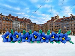 Колокольчик