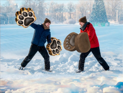 Лапки