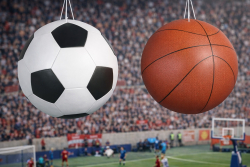 Мячи подвесные спортивные