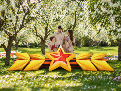 Звезда с колосьями