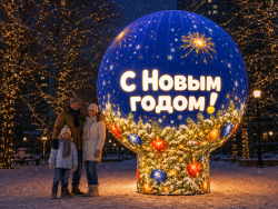 Круглый шар Премиум
