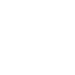 Одиночные